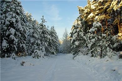 《无名九使：觉醒》女主演大赞游戏：如此多样化的作品